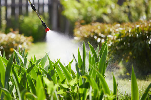 24/7 Emergency Mosquito Control experts in Belton, MO